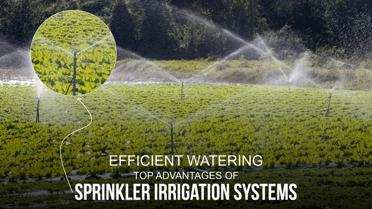 Irrigation Systems