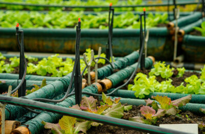 hdpe pipe fittings installed in agriculture irrigation system