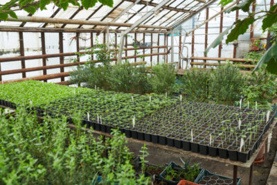 Comparison between HDPE and traditional materials in agriculture use.