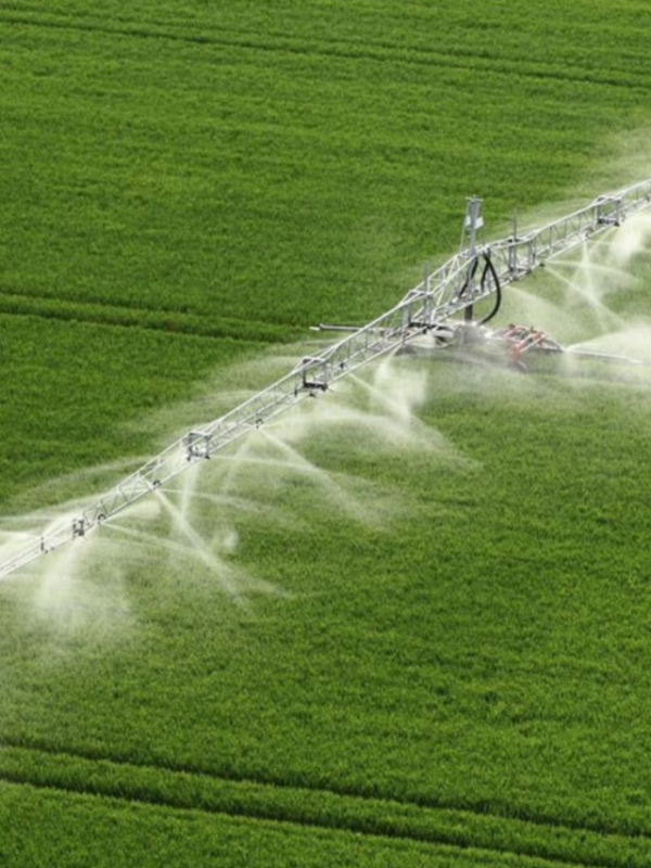 Saddle Pipe Fitting | Uses, Types & Benefits Explained