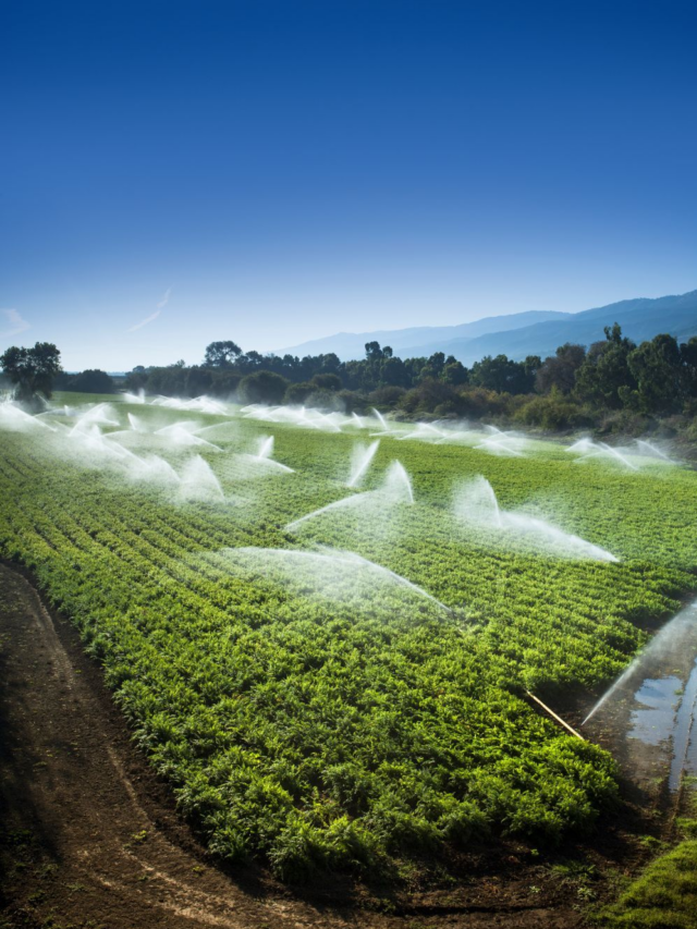 HDPE Sprinkler Pipe Fittings – Benefits, Types & Irrigation Uses